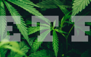Weeding Through The New Cannabis ETFs